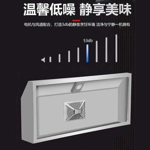 厂供不锈钢吸烟家罩饭店BXY厨房油烟除净化器油简排易小型抽油烟