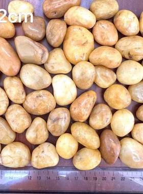 惠水州珠三角795黄色鹅卵石铺子路石庭院园头林造景小石鱼缸装饰