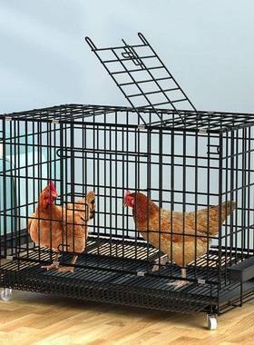 鸡笼子用大养号殖笼鹅鸡舍鸭家笼VTI笼折叠自动出蛋户外