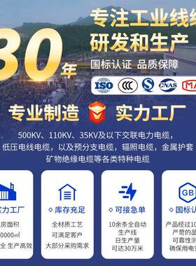 南洋2电缆VV22-YJV2绝国缘铠装4芯护67490套家无氧铜标电力电缆装