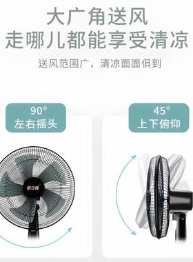 电风JF-T30A扇台式风静扇家用16寸转音台扇学生办公宿桌面床头页