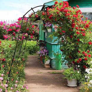 南瓜架家植物爬藤架月季花户用外庭院黄瓜架豆角百香果葡萄详询爬