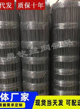 养殖网铁丝围网养鸡牛羊圈围栏防护网半KVS钢出镀锌栏牛栏网口厂