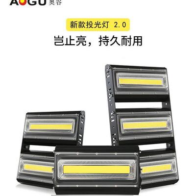 12V奥谷24000K低压工程船外室亮超防水广告隧道泛光光灯工投地球