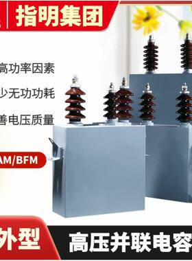 指明集团单三相高压电力电容器BAMBFM11√3-100-1W高压并联电容