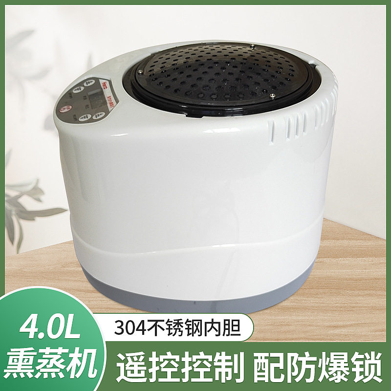 4升浴箱配件熏蒸机家用桑拿蒸汽机蒸汽锅熏蒸仪2000瓦汗蒸机