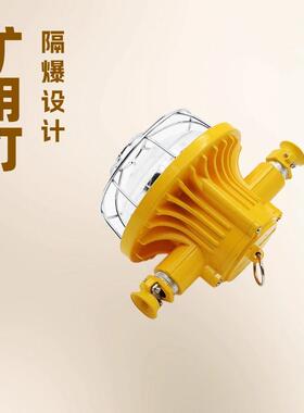 DGS48/127L矿用隔爆型LED巷道灯感应灯48W圆型防爆照明灯