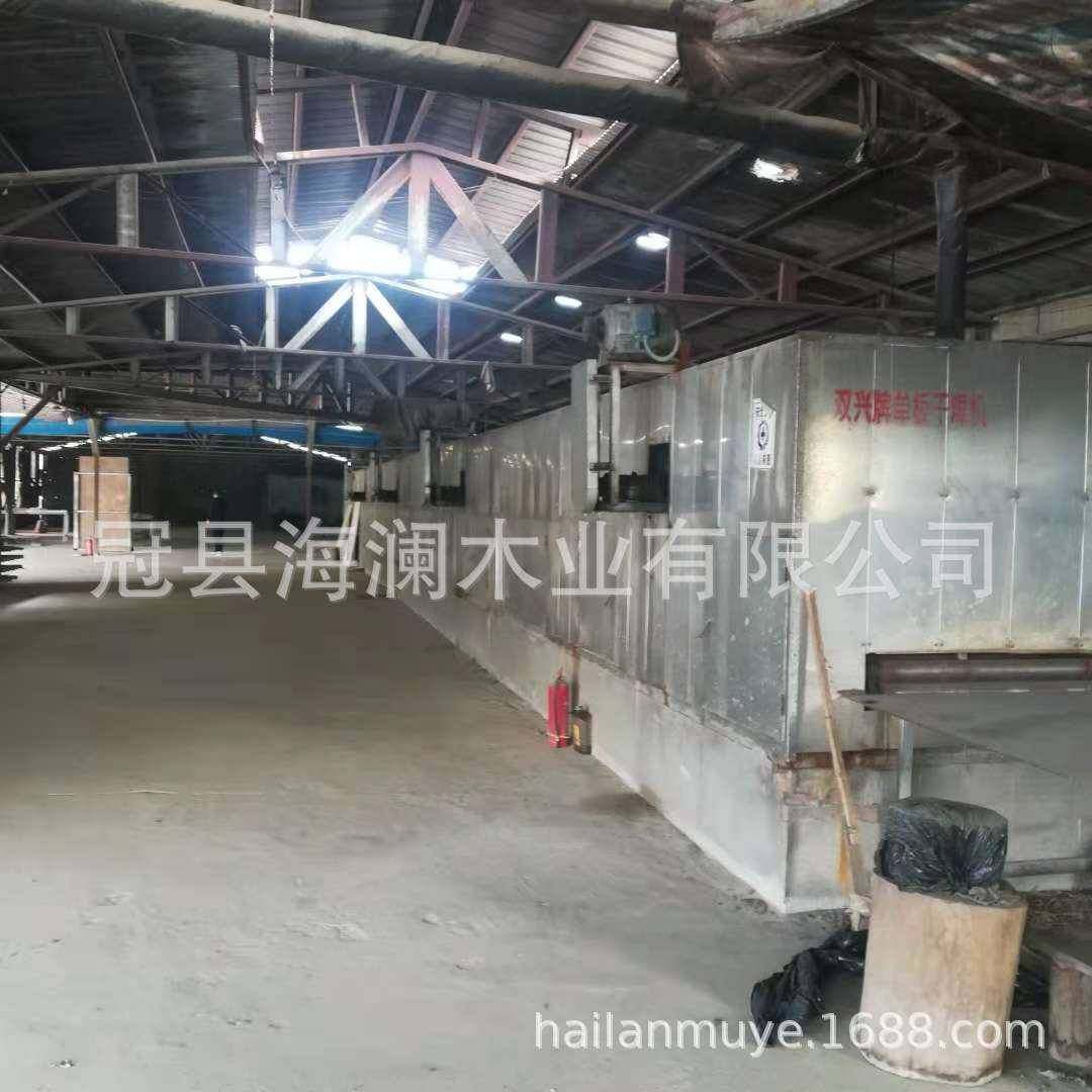 生产特殊规格异型木单板弯曲木单板指甲锉杨木木皮工艺品