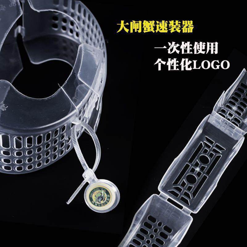 6--8两大闸蟹速装器大闸蟹速装器蟹之家速装器梭子蟹包装盒,畜牧/养殖物资,畜牧/养殖器械,淘宝优惠券,粉丝福利购,淘宝优惠卷