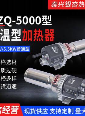 SZQ-5000普通型吹风加热器380V/5500W银杏热风器量大价优