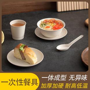 户外一次性餐具旅行野餐露营烧烤派对家用高颜值碗杯碟盘套裝