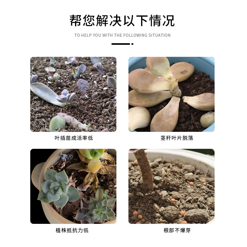 多肉矮胖素专用优芽矮胖增色肥料营养液肥土促进生长矮化剂室内,鲜花速递/花卉仿真/绿植园艺,家庭园艺肥料,淘宝优惠券,粉丝福利购,淘宝优惠卷