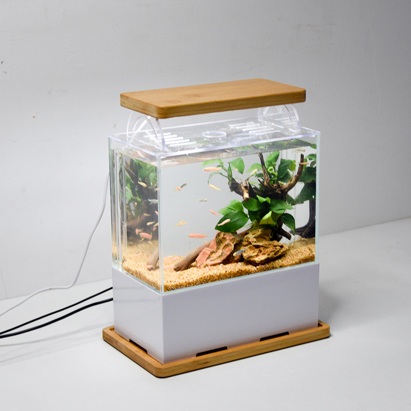 创意桌面迷你底滤鱼缸微缸生态水族箱小型迷你海水缸超白循环鱼缸