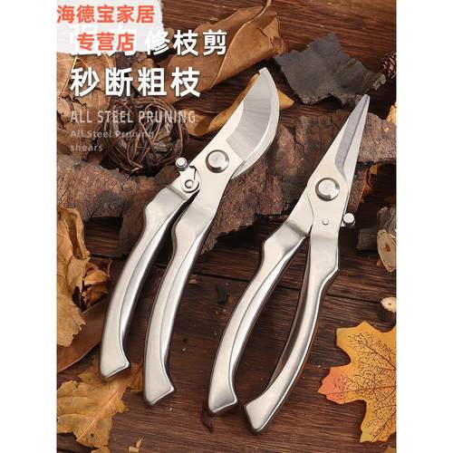 园艺剪枝剪刀修枝剪不锈钢果树园林树枝盆景修剪造型专用剪子工具