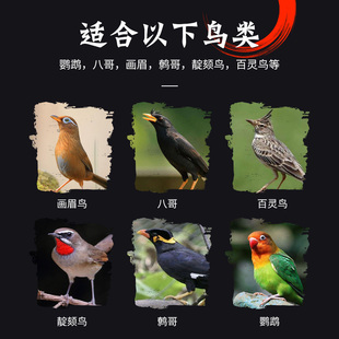 蚕蛹干画眉八哥鹩哥百灵鸟食饲料零食粮食食物鸽子鸽粮营养料虫子