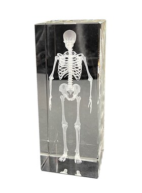 人体骨骼模型水晶内雕结构图激光立体解剖医学生道具水晶工艺品