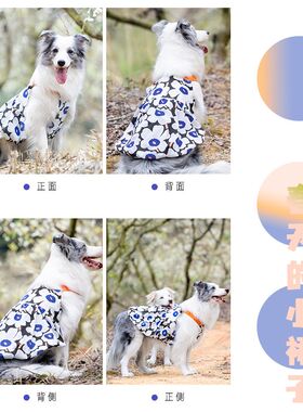 大型犬中型犬狗狗裙子边牧衣服萨摩耶拉布拉多公主裙柴犬夏天蓬蓬