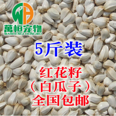 优质红花籽新款子白瓜子大中型鹦鹉鸟粮鸟鸽子 仓鼠饲料5斤包邮