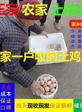 孕妇月子蛋农家散养土鸡蛋无抗柴鸡蛋生态笨鸡蛋农村收购新鲜鸡蛋
