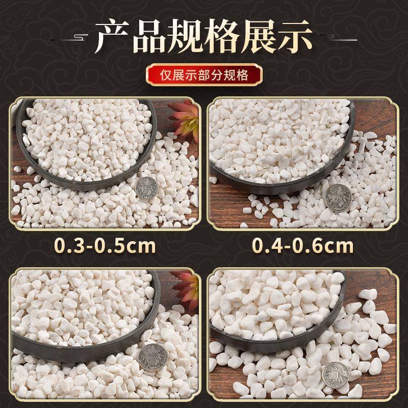 头50斤装白色石子石34705大鹅卵石院铺路铺地小白石头造庭景景白