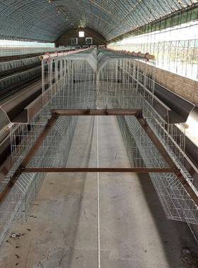 鸡笼式三笼层四型门阶梯A蛋鸡笼蛋DZU鸡源头厂家冷热镀锌蛋鸡笼