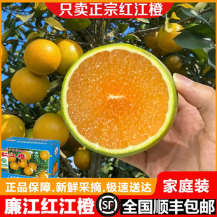 【顺丰】湛江特产正宗廉江红橙红江橙10斤装橙子薄皮甜橙新鲜农场