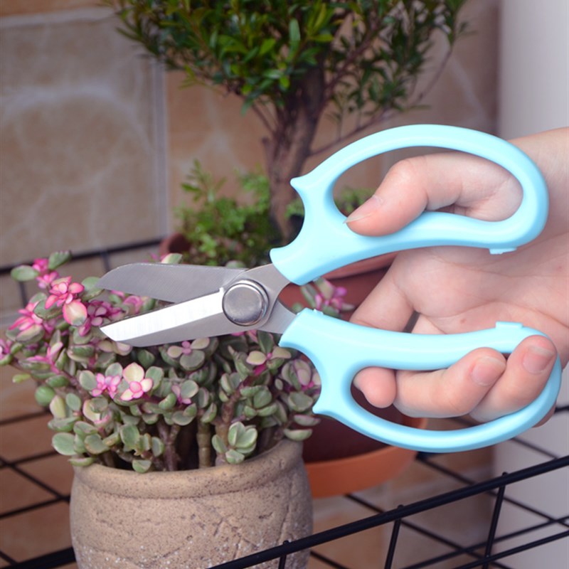 园艺花艺剪刀宽头家用花剪鲜花花道剪花枝树枝修花修枝工具插花