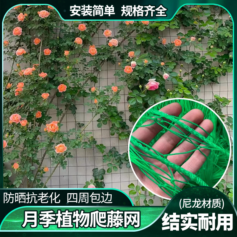 月季爬藤网蔷薇丝瓜葡萄植物花卉瓜果蔬菜种植网加粗网格绳网