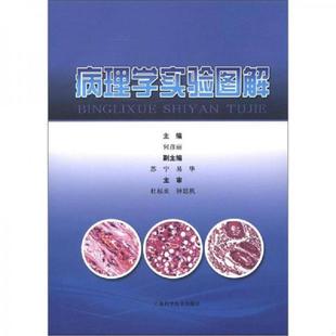 库存九成新病理学实验图解 9787547814406 何彦丽 上海科学技术出版社