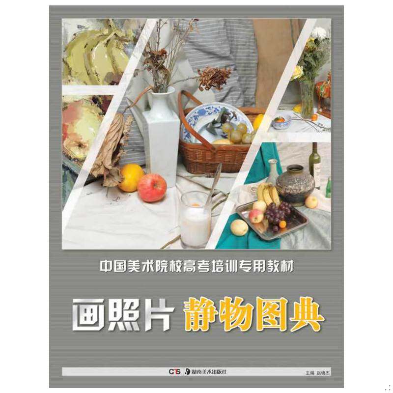 库存九成新中国美术院校高考培训专用教材&middot;画照片：静物图典 9787535653826 赵锦杰 湖南美术出版社