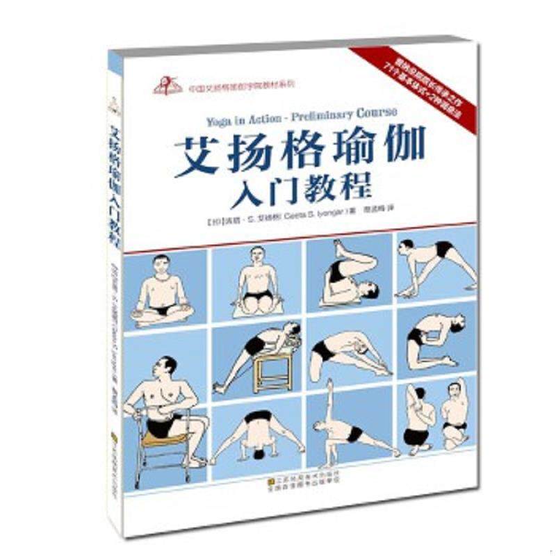 库存九成新艾扬格玩偶 瑜伽墙绳使用的探索方法 辅具辅助 瑜伽习练教材 教练培训教程 初学者到精进 挂绳辅助绳倒立绳子瑜伽墙绳工