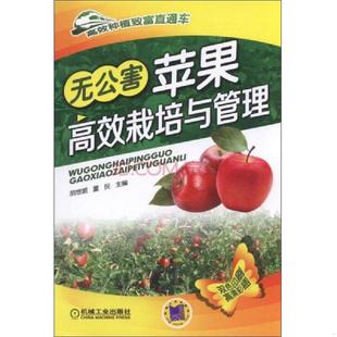 库存九成新无公害苹果高效栽培与管理 9787111511328 胡想顺,董民主主编 机械工业出版社