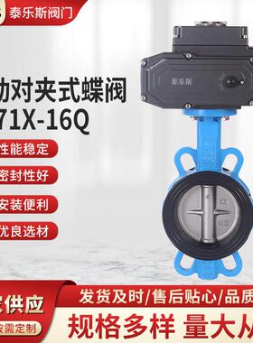 泰乐斯电动对夹式蝶阀D971X-16P四氟对夹式开关型软密封控制调节