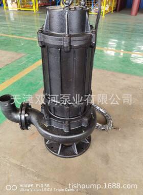 立式不钢工耐腐蚀化用泵养锈殖排泵68081污市政排污泵污水泵