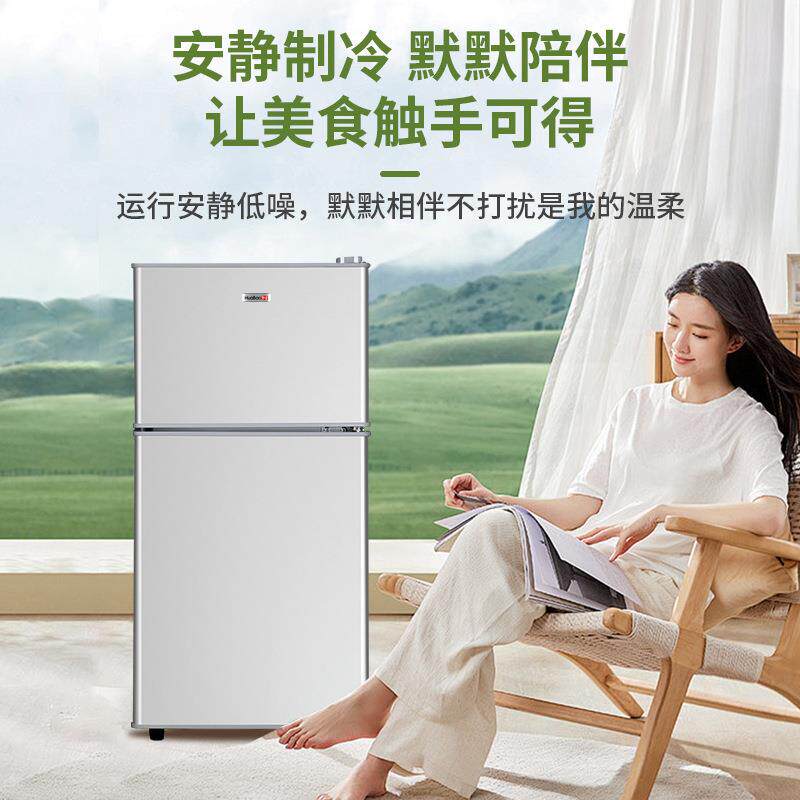 一级能效小冰箱二用家用小型出房租宿舍箱用迷你73829双门电冰3人