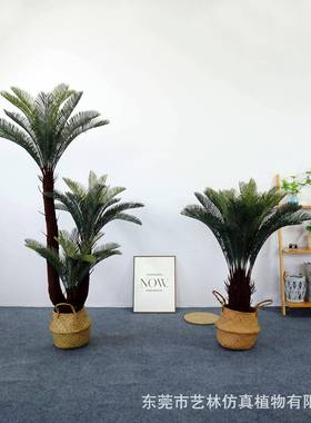 仿真型大苏铁植物栽盆室内厅装饰绿植摆件造景客落地人造20230725