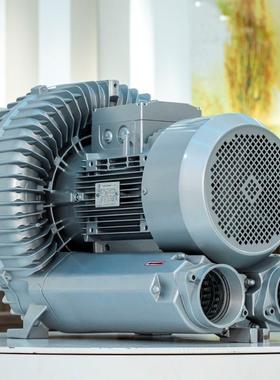 全-风环保RB91D-风211W11K千瓦生化池曝99839气机