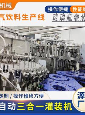 酸饮料灌装装机玻璃灌装40067机含瓶气饮料碳气泡水全自动灌机生