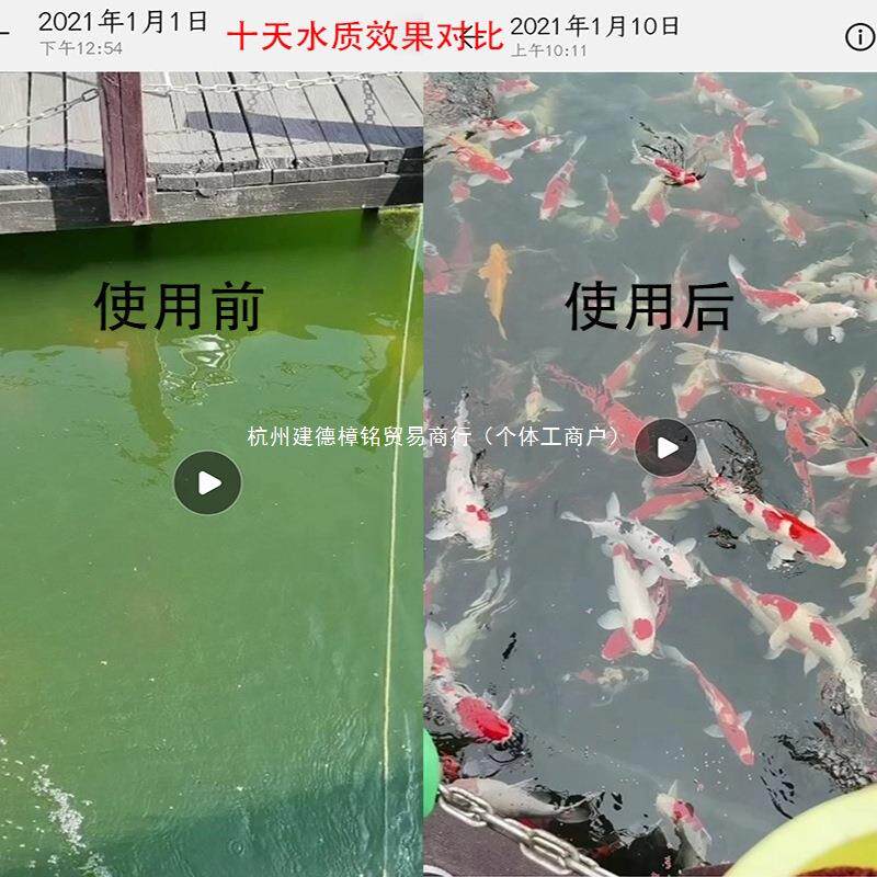 转鼓微机滤LAU鱼离池自动反冲洗循环便分过鱼滤器水产养殖微滤机