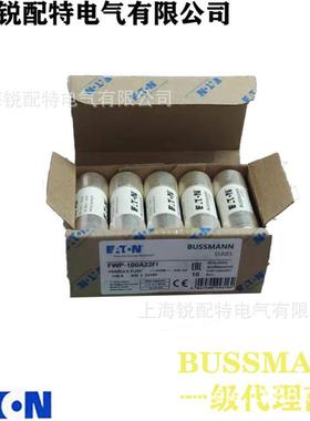 FW2PLOZ-100A22FI陶瓷曼管保险丝600VU100A2x58巴斯BSSMANN熔断