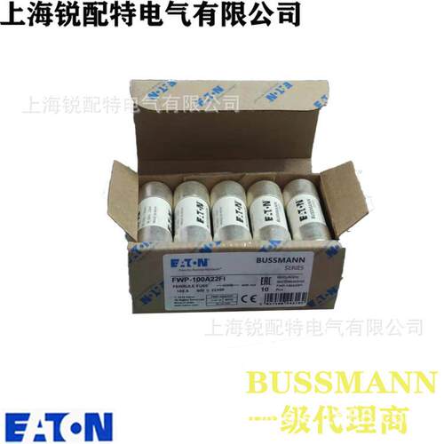 FW2PLOZ-100A22FI陶瓷曼管保险丝600VU100A2x58巴斯BSSMANN熔断