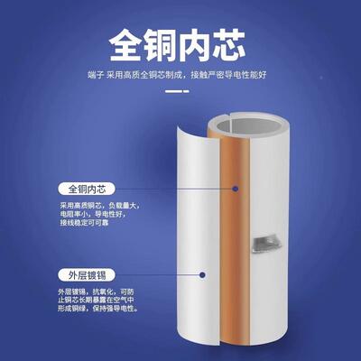 BV全缘中2间接头长形管形通直柱形PVC中EEM间管冷压接线端子绝头