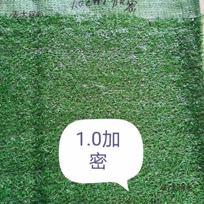 真新BIR款仿草坪地毯人工地围挡假草皮幼儿园绿地仿绿植真造户麦