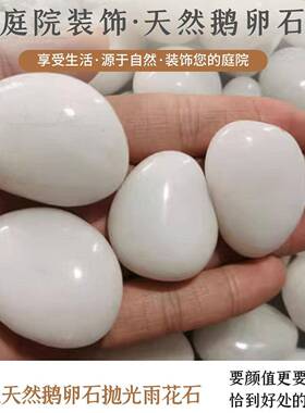 天鱼然白色纯鹅卵石造景雨花石庭院阳台路白QUB色石头缸石抛铺光