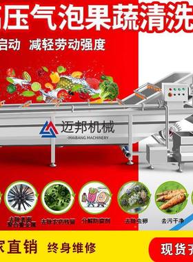 清机全大型气泡商用业自动喷淋果菜蔬清洗工机洗洗82318机式水果
