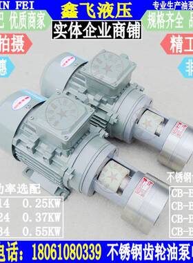 CB-BNS6BNS4SBN10BN齿S2.567212陶瓷不锈钢磨酸碱轮油泵电耐机组