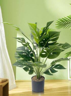 仿欧仿造真龟背竹绿北植盆栽家居室内外hx215678装饰人龟背竹真摆