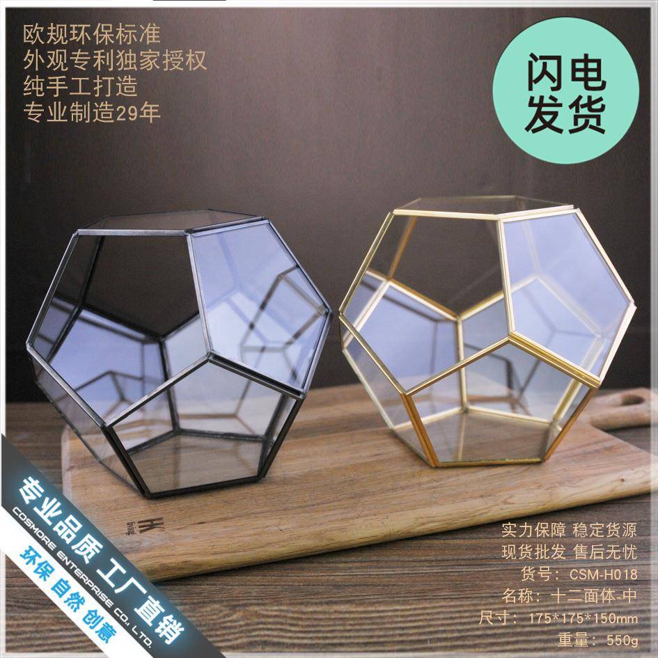 厂直苔销爆款CSM-H018十二面体中玻璃家花创房绿植透明意藓微景观