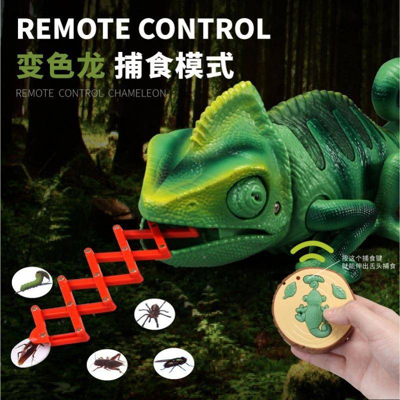 宠仿真红409线外遥控变色龙带光新奇特创意电子物电动灯儿童模型