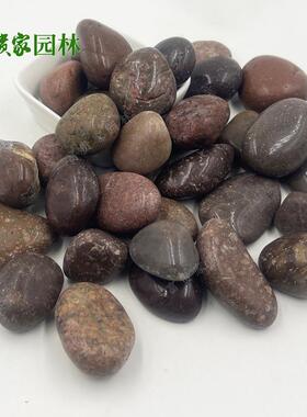 红色垫924鹅卵石抛光雨花石园林景观铺路水池底石红卵石3头-5cm